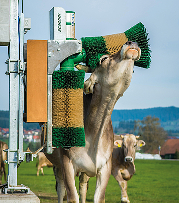 Spelsberg's GEOS enclosures secure the automatic brush systems for dairy cows. Even under intensive use, variable weather conditions, and high ammonia levels, the enclosures provide protection and long-term functionality for the electrical installations.
Photo: Günther Spelsberg GmbH & Co. KG/Schurr Gerätebau GmbH