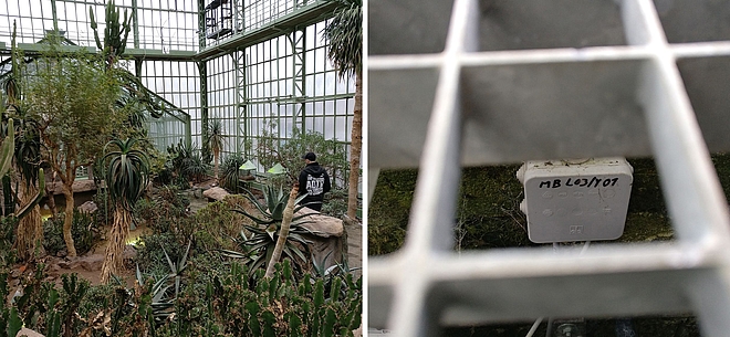 In a greenhouse in Vienna, Spelsberg's product demonstrates its resilience against the prevailing conditions there. This ensures safe power distribution even in humid-warm environments permanently.
Photo: Günther Spelsberg GmbH & Co. KG