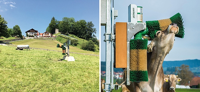 The enclosure from Spelsberg reliably withstands the varying environmental conditions on a cattle pasture in the Baden-Württemberg municipality of Uttenweiler. Even under intensive use, exposure to sunlight, and high humidity, the enclosure ensures protection and long-lasting functionality of the cow brush.
Photo: Günther Spelsberg GmbH & Co. KG